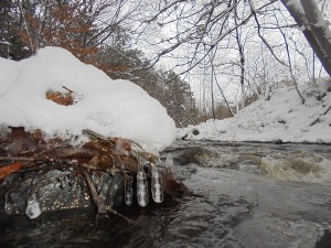 icicles by the river